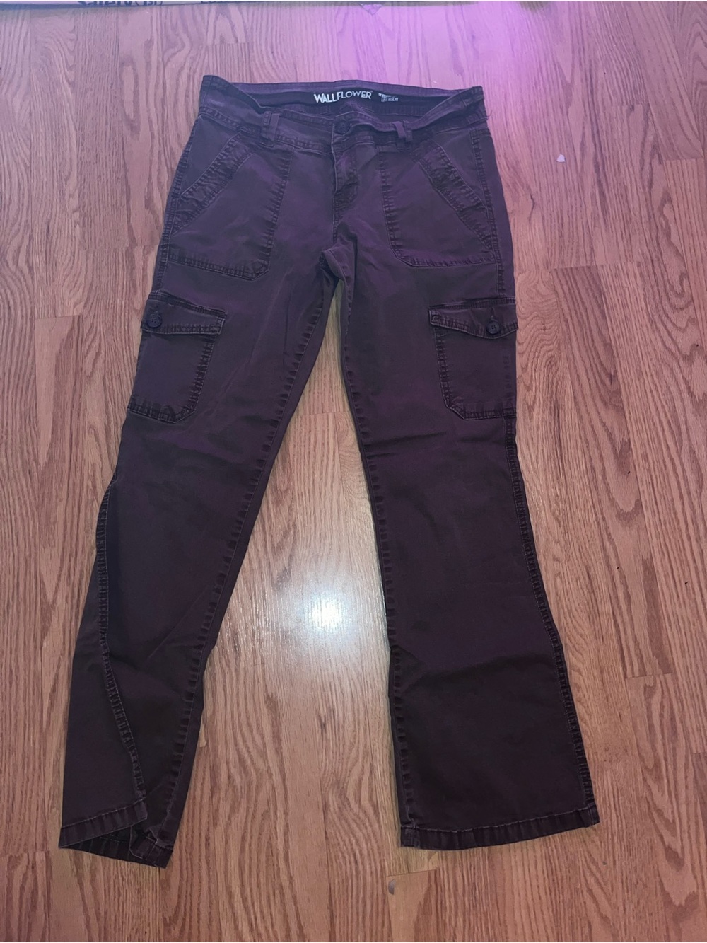Wallflower Brown Straight-Leg Cargo Jeans for Women